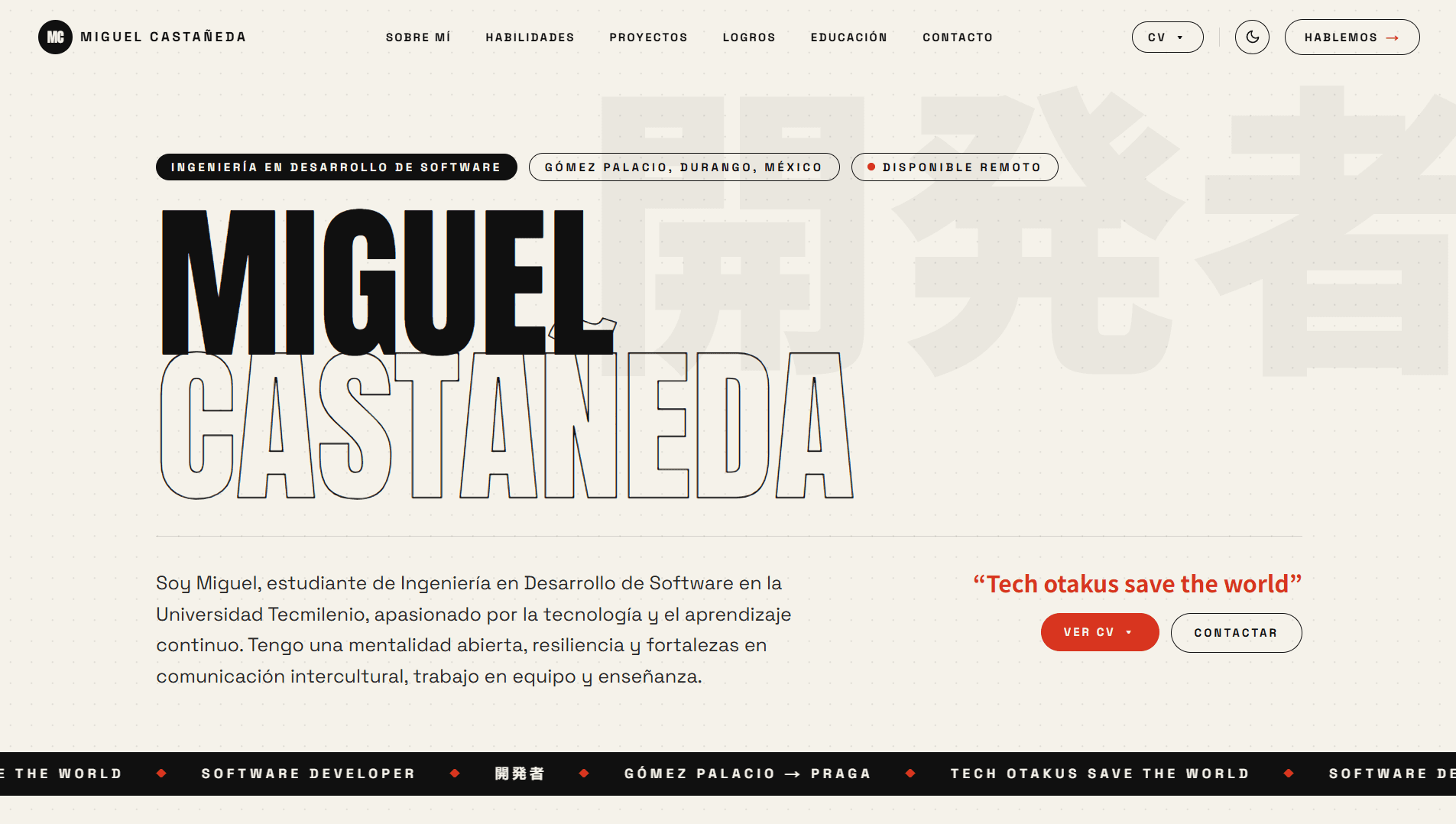 Miguel Castañeda Portfolio